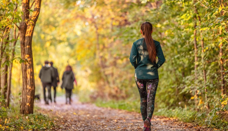 Does Walking Help You Lose Weight? How to Turn a Simple Habit into Real Results
