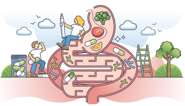🧠 Gut-Brain Connection: How Your Digestion Affects Your Weight